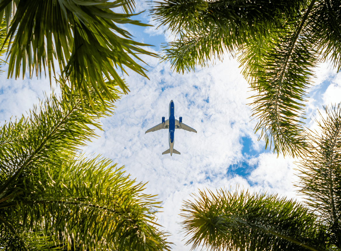A Plane Flying Overhead Palm Trees